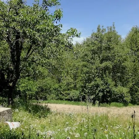 Charming House In With Jacuzzi * Decollatura