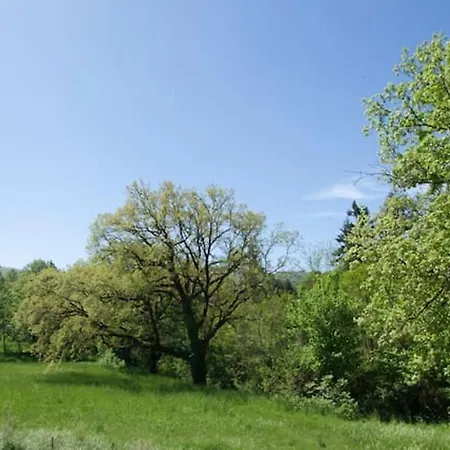 Charming House In With Jacuzzi