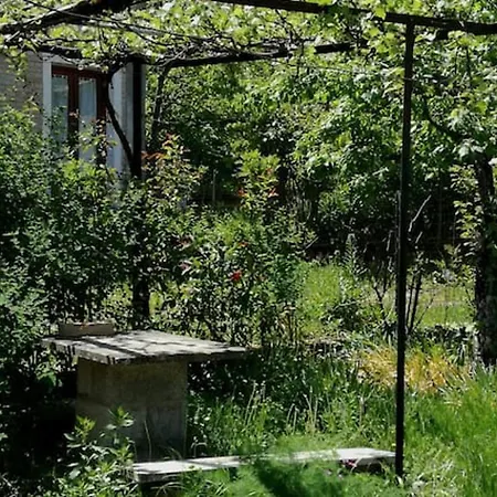Charming House In With Jacuzzi Semesterbostad Decollatura