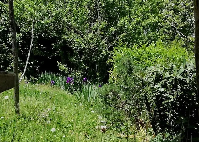 Charming House In With Jacuzzi Casa de Férias Decollatura