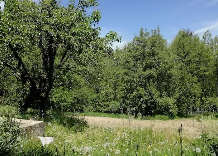 Charming House In With Jacuzzi * Decollatura