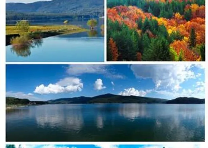 Charming House In With Jacuzzi * Decollatura