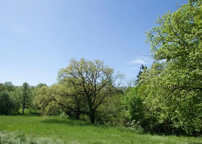 Charming House In With Jacuzzi
